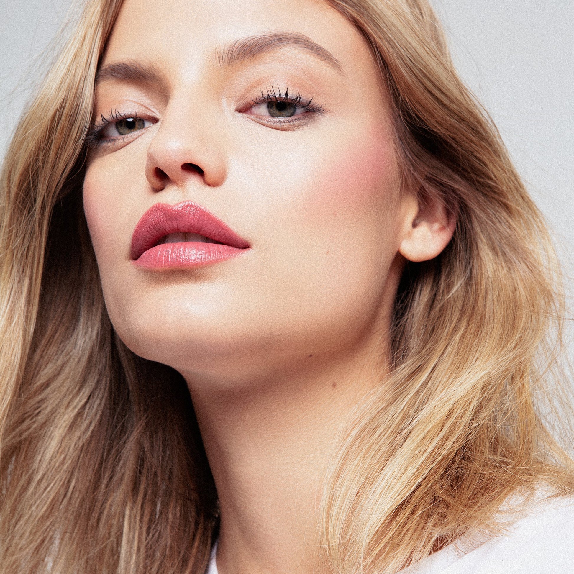 #shade::stardust #image::feature